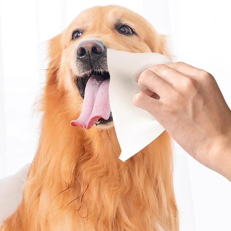 best pet deodorizing wipes
