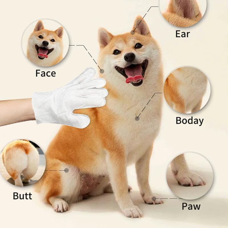 pet-disposable-gloves-wipes