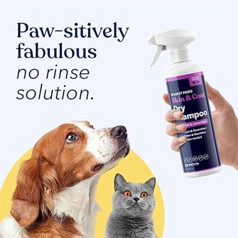 how to clean a dog without water