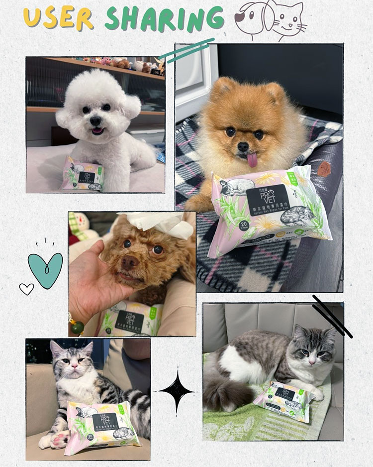 Top 5 Pet Wipes OEM Manufacturers 2026
