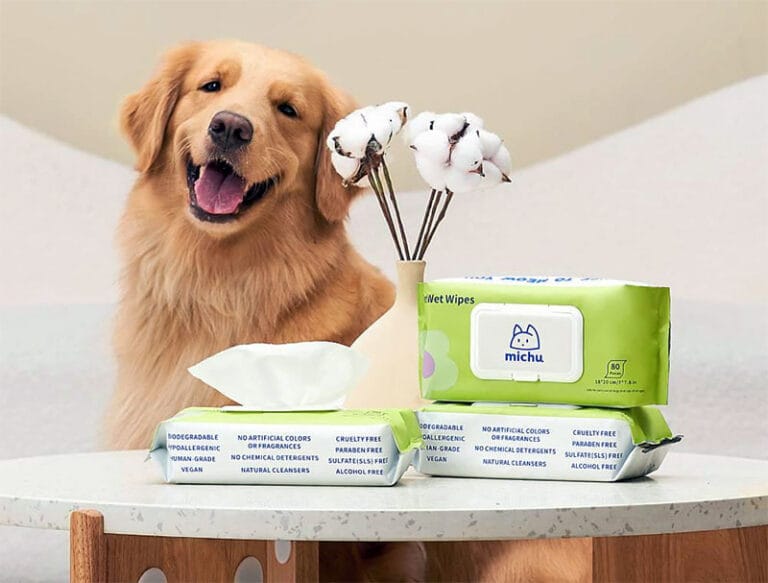 Top Pet Wipes OEM Manufacturers (Private Label Guide 2026)
