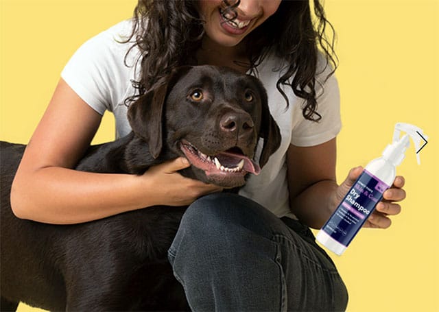 Pet Dry Shampoo Manufacturer | Private Label Waterless Pet Shampoo