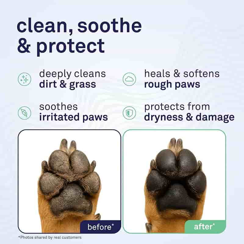 OEM/ODM Portable Dog Paw Wipes Manufacturing