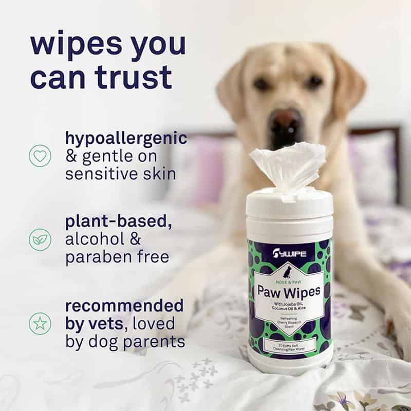 Pre-moistened portable dog paw cleaning wipes made of tear-resistant spunlace nonwoven fabric from OEM supplier.