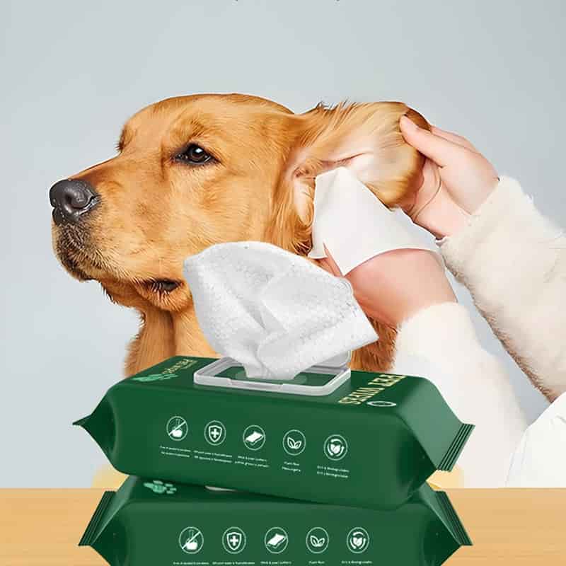 Private label 80-count compostable dog wipes in eco-friendly flow pack from OEM wet wipe supplier.