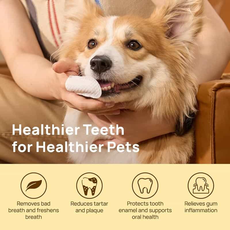 Textured pet dental finger wipes used on a dog to reduce tartar and freshen breath from OEM factory.